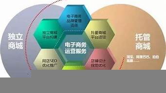 電商專業學習內容 電子商務運營服務全解析